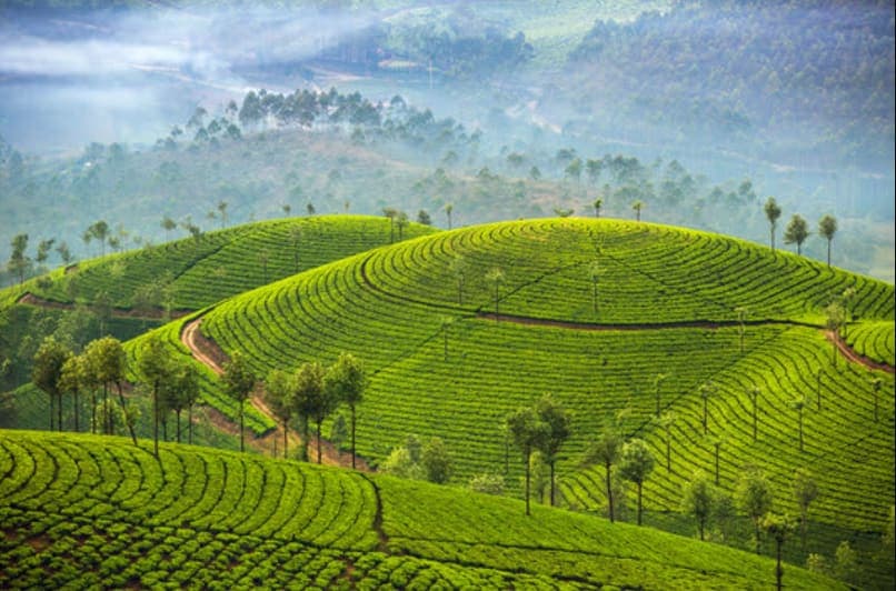 conference spaces in Munnar, Kerala