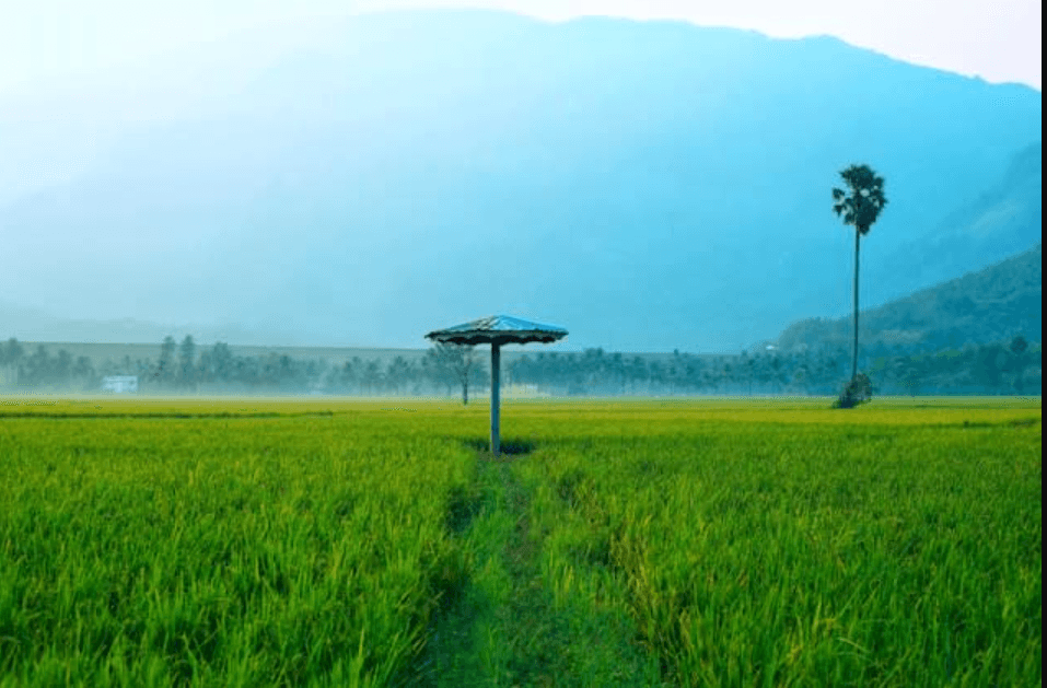 Team out locations resort in Palakkad, Kerala