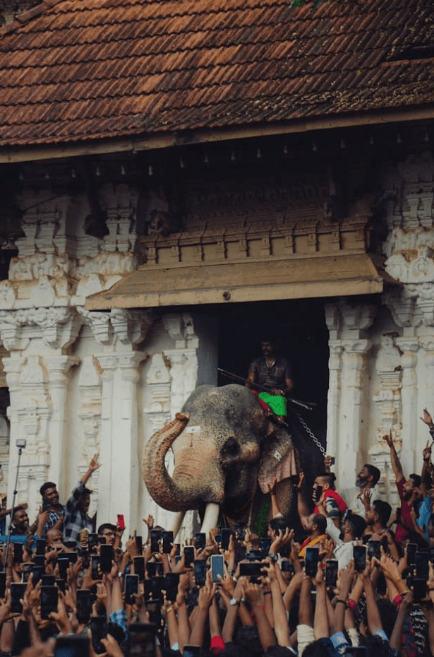 Wedding & Pre-Wedding Venues tv studio in Thrissur, Kerala